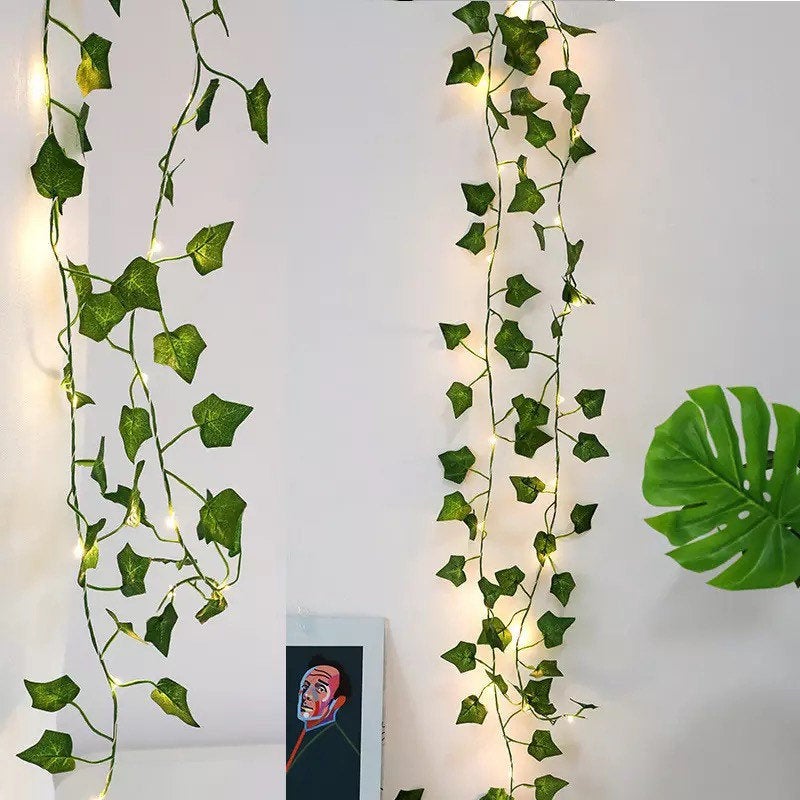 Plant fairy lights